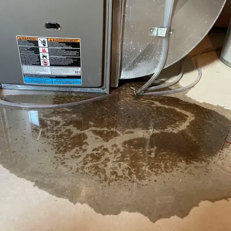 Appliance Leak Cleanup in Starke, FL